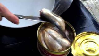 preview picture of video 'Surströmming - a Swedish delicatessen'