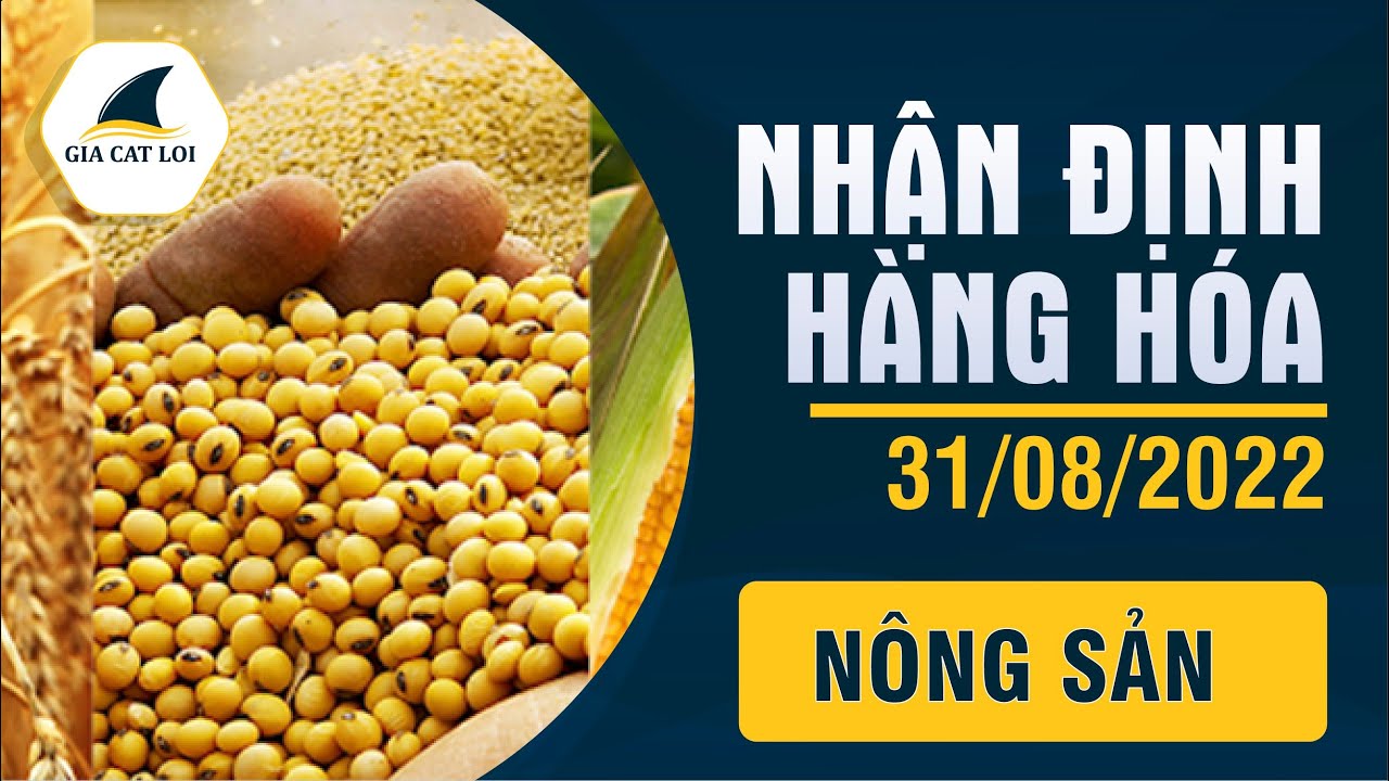Nhận Định Thị Trường Nông Sản Ngày 31/08/2022