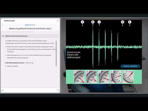 Pearson Interactive Labs | Blood Pressure & Pulse