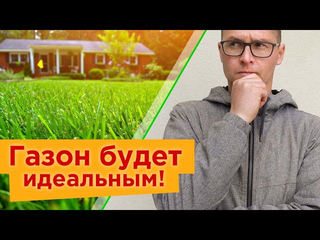СУПЕР ГАЗОН НАЧИНАЕТСЯ С ВЕСНЫ! 3 важных действия весной, для идеального изумрудно-зеленого газона