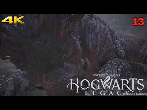 Hogwarts Legacy Gameplay Walkthrough Part 13 FULL GAME [ PS5 4K 60FPS ] - No Commentary