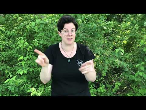 Audismus- Vortrag am 20.06.2019 in Berlin!