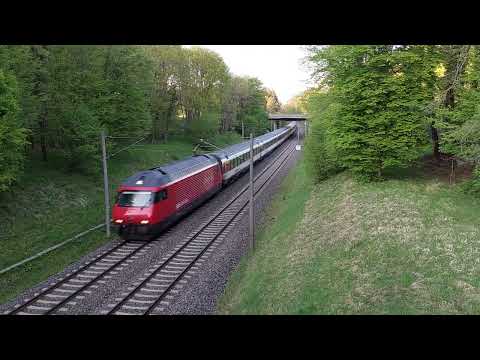 SBB Re460 mit IC Singen nach Zürich bei Singen.