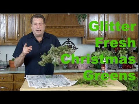 download lagu mp3 mp4 Glitter Eucalyptus Spray, download lagu Glitter Eucalyptus Spray gratis, unduh video klip Glitter Eucalyptus Spray