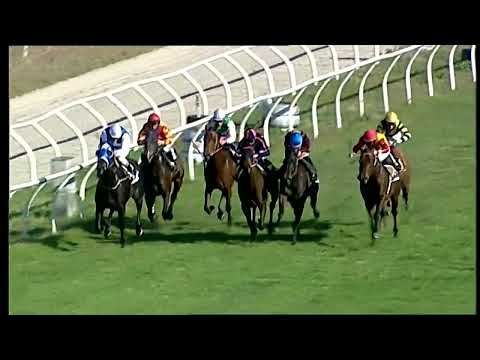 Napoli Galoppo 30/01/2022 - 2ª corsa