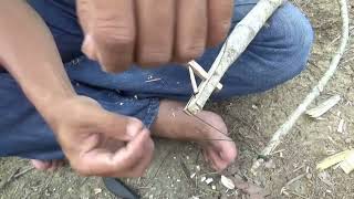 Download lagu jebakan burung perkutut dengan mp3 mp3