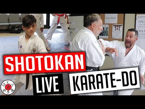 Shotokan Karate Training