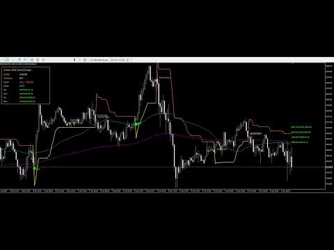 Video Golden Wolf GameChanger