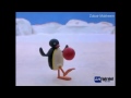Hyderabadi Pingu 15