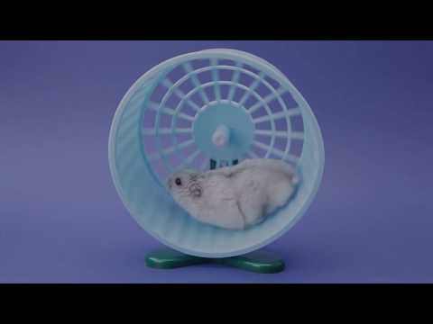 Platinium Pro video.