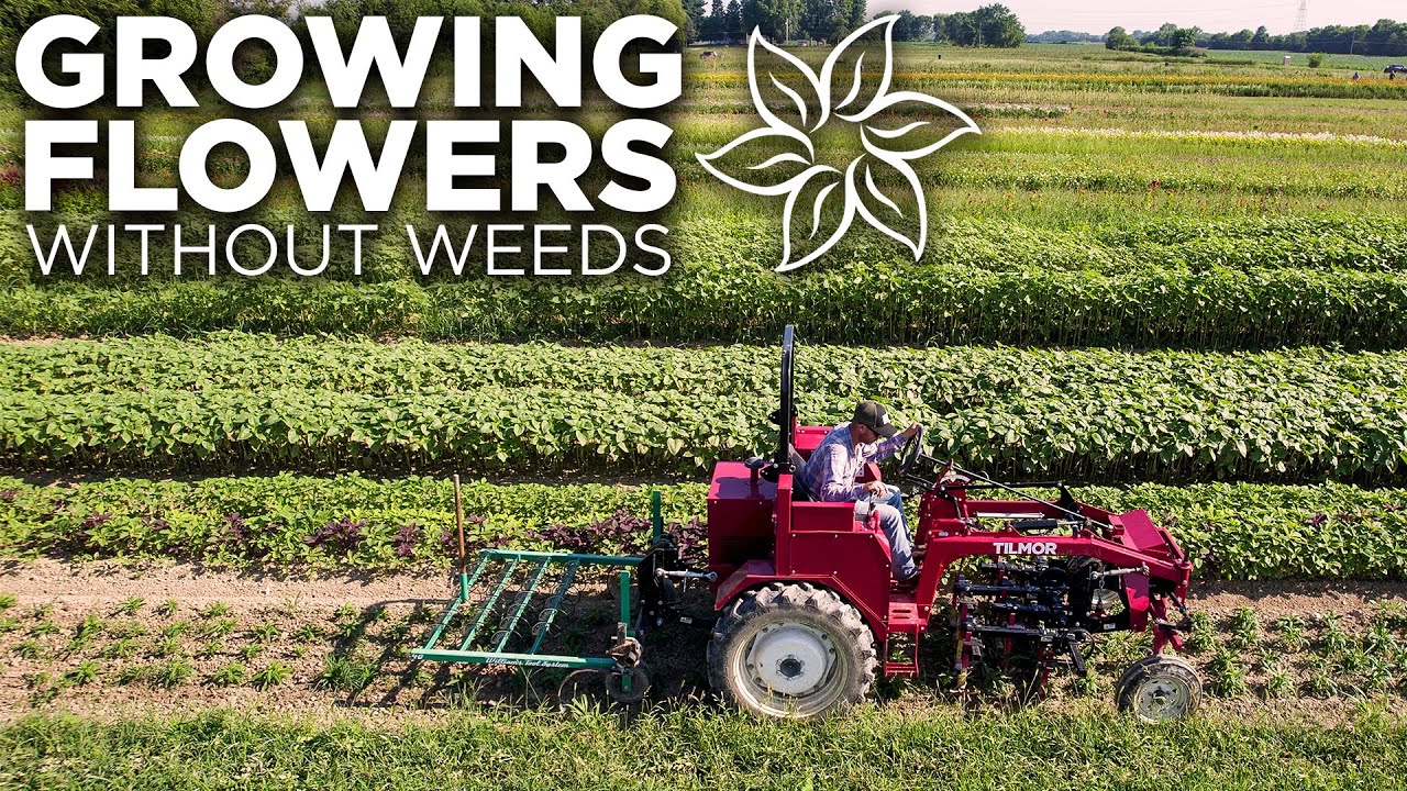 How To Expand Your Flower Farm Without Drowning In Weeds