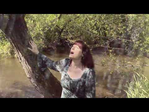 Autumn Tears - The Light That Shapes Us (The Circle Music)