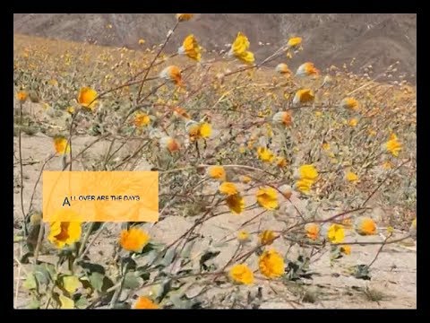 Video thumbnail for Search for Life