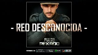 Pekado - 09 - Red Desconocida (Con Tron Dosh) [Prod. Tron Dosh] - PULSO