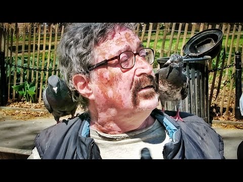 Pigeon Man
