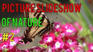 Picture Slideshow of Nature #2