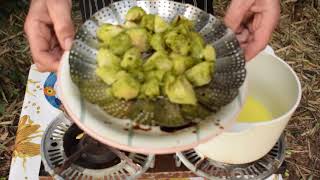 Repollitos de Bruselas al Vapor y Gratinados