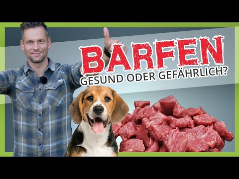 BARFEN ► Wie gesund oder gefährlich ist die Fütterung mit rohem Fleisch?
