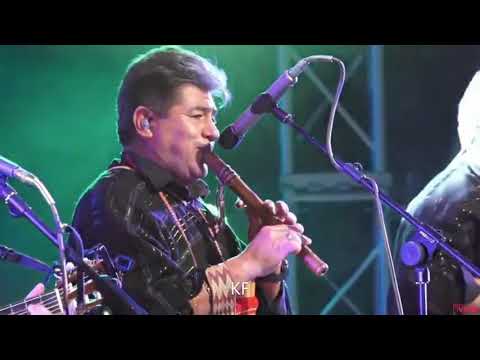 Hay que salvar nuestro Nido - Proyección Bolivia