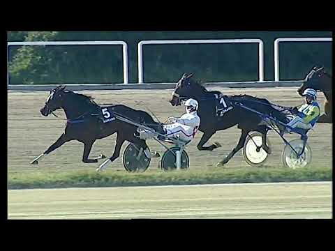 Napoli Trotto 11/03/2022 - 3ª corsa