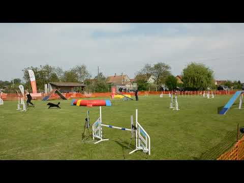 Töpi A1 Agility futam I. -   XI. Monor Kupa 2022-05-07