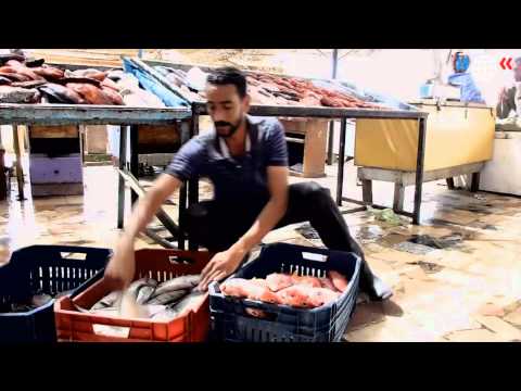 download lagu mp3 mp4 Biodiversity An Introduction Pdf, download lagu Biodiversity An Introduction Pdf gratis, unduh video klip Biodiversity An Introduction Pdf