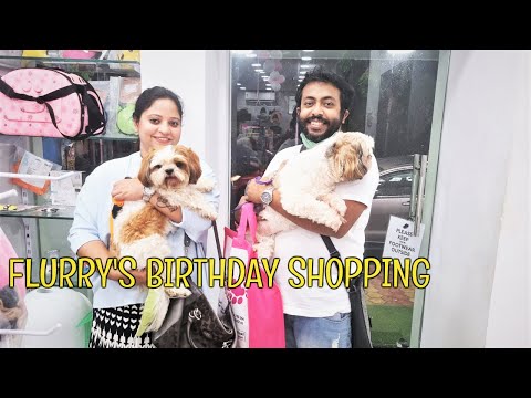 Taking my puppies for Birthday shopping  | Exploring pet store in Kolkata Video