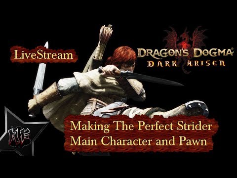 Dragon's Dogma DA - Perfect Strider MC / Pawn Build Guide | Livestream PS4