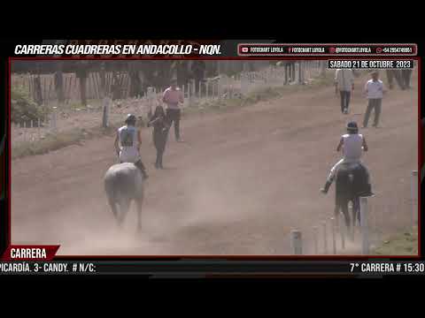 BRONCO - Andacollo - Nqn. 21-10-23@fotochartloyola23