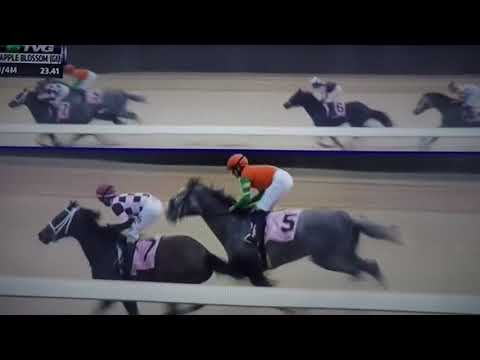 APPLE BLOSSOM (G 1) STAKES 4/14/18 - UNBRIDED MO !!