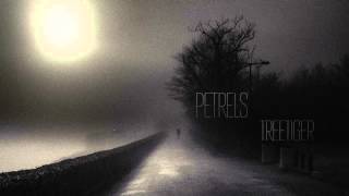 Petrels — Treetiger