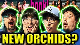 Download lagu BEEP BEEP! | American Producer, Musician & Streamers FIRST TIME REACTION to NO NA 'HONK!' MV mp3 Download lagu BEEP BEEP! | American Producer, Musician & Streamers FIRST TIME REACTION to NO NA 'HONK!' MV mp3