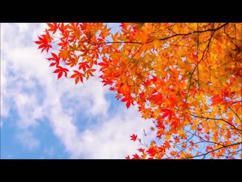 AUTUMN LEAVES LES FEUILLES MORTES - PATRICIA KAAS