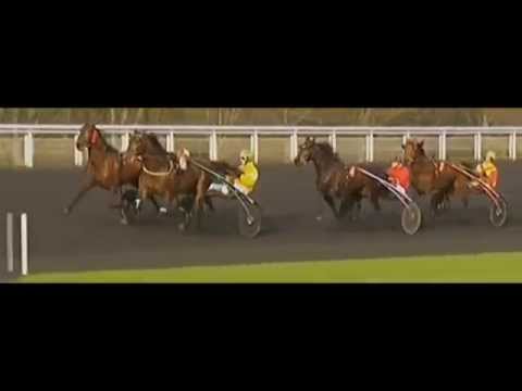 Prix De Belgique 2015_Uhlan Du Val_C. Megissier