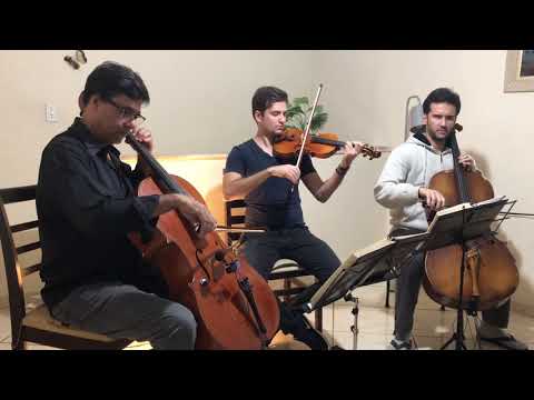 CCB - Hino 42 - Ó minha alma, por que te abates? - Trio de Cordas - Hinário 5