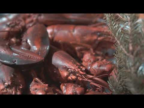 LE CHALET DE L'ECAILLER -  Le Chalet de Pierres