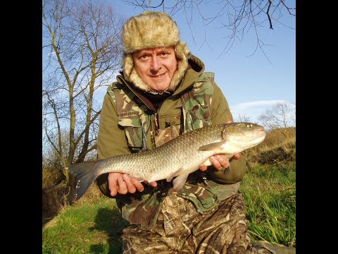 Roving for River Browney Chub_14 March 2019 5lbs 2oz CHUB on cheese paste