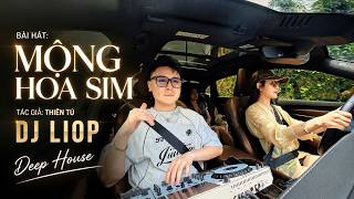 Mộng Hoa Sim (St Thiên Tú) - DJ LIOP - Deep House