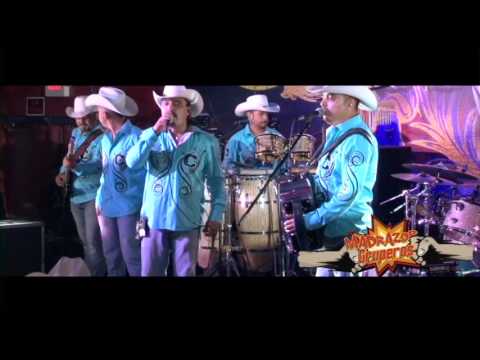 El Cartél  De Nuevo León Pajarillo en vivo desde Houston Tx.