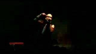 Aesthetic Perfection - Architect