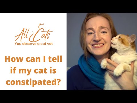 How can I tell if my cat is constipated?