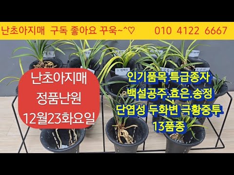 유튜브 썸네일