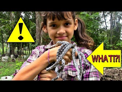 MY CHILDREN TALKED ME INTO LETTING A DOZEN SNAKES GO IN OUR GARDEN!!!