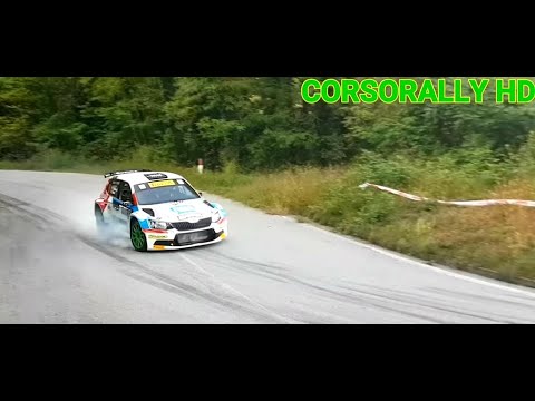 61° Rally Coppa Valtellina 2017 Show and Max Attack