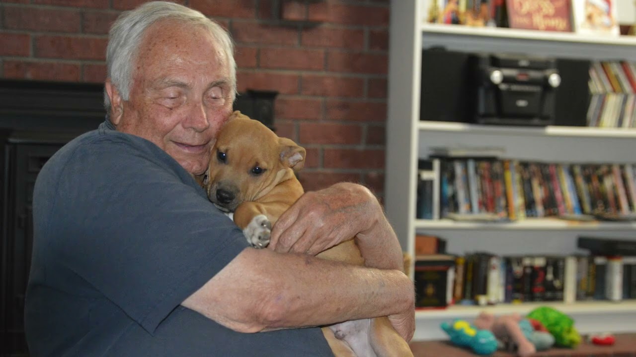 Enlarge Handsome Clifford, a ADOPTABLE mixed breed in Hot Springs, AR video 2/6