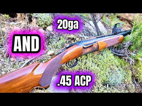 Double Rifle on a Budget: 20ga to .45 ACP