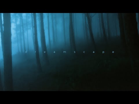 øneheart, sign crushes motorist - alive