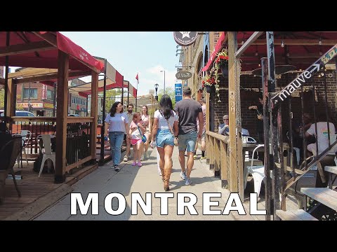 Walking in Popular Montreal Neighborhood - Le Plateau Mont Royal - May 2023
