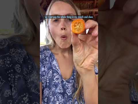 Have you tried kumquat? 🧡