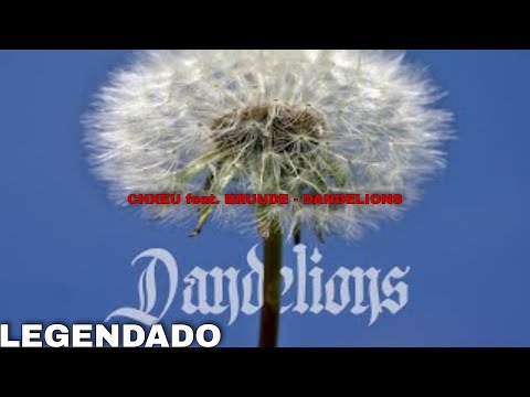 CHXEU feat. BRUUDE - DANDELIONS [LEGENDADO]
